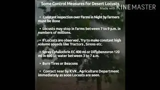 Desert Locust control measures/ ਟਿੱਡੀ ਦਲ ਰੋਕਥਾਮ