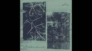 L&Ouml;RI & Letterbombs - Split (2025)