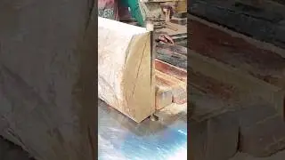 Sawmill Working and Forest Management | The Connection. #shorts