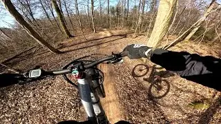 Ebertrail Flowtrail 09.03.2025
