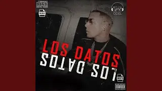 Los Datos