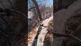 #сноубейк #велоспорт #крамборс #чанк #велосипеднаяжизнь