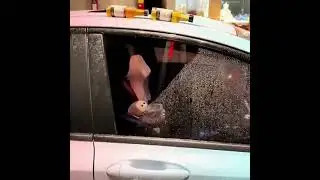 Car Glass Oil Film Stain Removal Cleaner🚘Remove oil stains on the glass surface