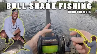 BULL SHARK FISHING  - LIVE BAITING AT BOND UNI WEIR | GOLD COAST FISHING