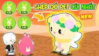 BEDY HOẢNG HỐT VÌ BỘ ĐỒ PET NÀY KHI GHÉP ĐỒ CHO CÁC PET KÙI NHẤT GAME PHẦN 3 | PLAY TOGETHER
