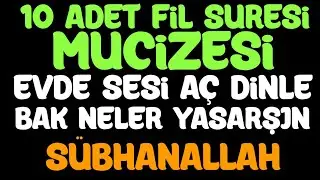 10 Fil Suresi MUCİZESİ.! Evde sesi a&ccedil; dinle bak neler yaşayacaksın..! S&uuml;bhanallah