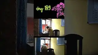 3hour SUNDAY RECAP 🍑