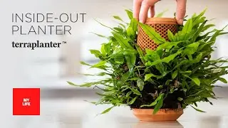 Terraplanter
