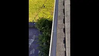 Gutter Cleaning Service in Vista CA