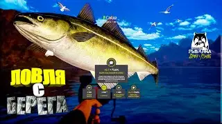 Русская рыбалка 4. 🎣🦈 Норвежское море 🧜‍♂️ 🐋💦 ЛОВЛЯ с БЕРЕГА 👀