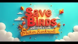 Save Birds and Have a Safe Makar Sankranti