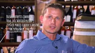 Majstri V&iacute;n by WINE EXPERT #Degustation FRTUS WINERY