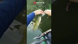 V&iacute;deo completo no Canal! #pescatub