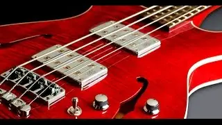 Warwick Custom Shop Masterbuilt - Starbass II Short scale
