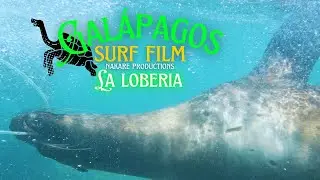 La loberia Surf Film - Galápagos - Part. 1