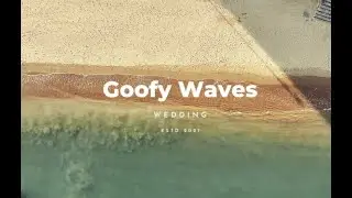 Goofy Wedding (Pontoon)