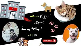 Rescue & Adoption at Free Karachi Animal Hospital 🐾 | Saving Lives Every Day! #AnimalRescue