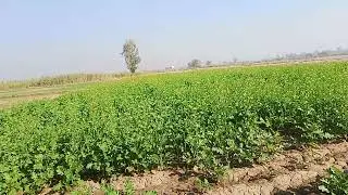 Nabi Pak ki Nmaz prata hue Janat ka Nzara       achi video dekhna k lye Mera chanel subscribe kre 