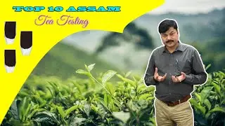 Assam's Top Tea Tasting Review | असम चाय का समीक्षा  | चाय गुरु #teabusiness #teaeducation