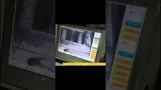 Mould monitor