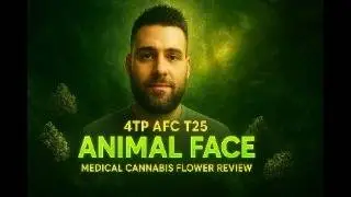 4TP AFC T25 &mdash; Animal Face &mdash; Обзор цветков медицинской марихуаны в Великобритании