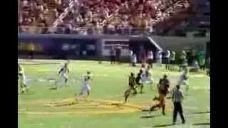 Deone Bucannon Highlights 2013