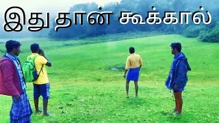 கொடைக்கானல் மலைகளில் மறைந்து உள்ள சொர்கம் | Explore kookal village | Place to visit near kodaikanal
