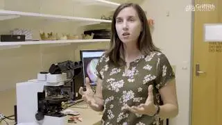 Tanya Smith, author of Tales Teeth Tell discusses human evolution, development, and behavior.