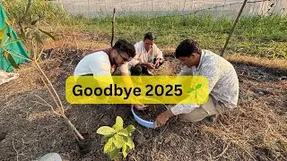 Learning to Vlog - Day 7 | Ending 2025 with Tree Plantation 🌱❤️