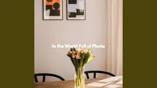Unique Ambiance for Decompressing Peace