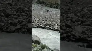 Gabral river utror valley swat pakistan