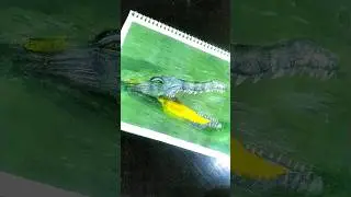 Realistic Crocodile Drawing🐊 #artfusion #realisticdrawing #hyperrealisticart #crocodiledrawing
