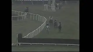 1985 Henry VIII Novice Chase - Desert Orchid