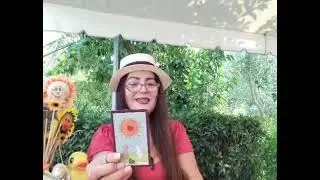 Mesazhet e universit per sot 24/07/2025 nga Tea Tarot