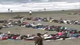 Beach Impeach