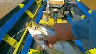 MINNOW MURAH #casting Ikan Lais Tembiring