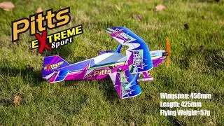 Micro 450mm RC Foamy Biplane DW Pitts