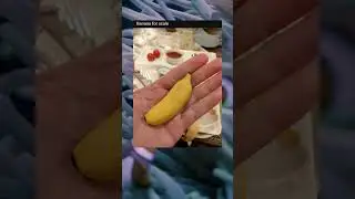 Banana for scale #funny #memes #viral #shorts #youtubeshorts #shortsvideo #trending #viralmemes