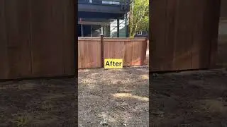 #Ourbackyard😊#before&after#youtubeshorts #seattle #usa