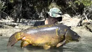 Périple sur de grandes eaux (Pêche de la Carpe)