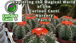 Exploring the Magical world of the Curious Cacti Nursery Part.3