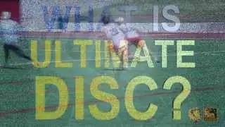 What is Ultimate Disc?