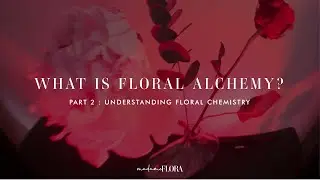 What is Floral Alchemy? Understanding Flower Chemistry {Part 2 of 3}