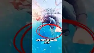 Traue niemals einem Fischschwarm