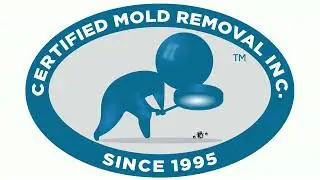 Expert Certified Black Mold Testing, Removal, Remediation, and Inspection Services NJ, NY, PA, CT