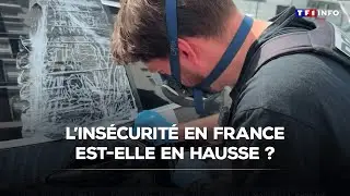 L'ins&eacute;curit&eacute; en France est-elle en hausse ?｜TF1 INFO