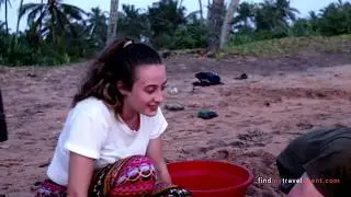 Turtle farm#Sri Lanka