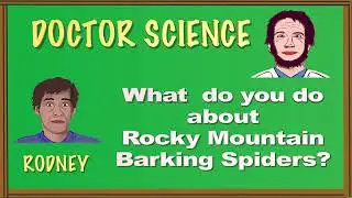 DOCTOR SCIENCE What do you do about Rocky Mountain Barking Spiders?