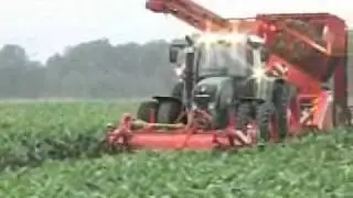 Ботвоудалитель FT 300, www.agrotreyd.ru
