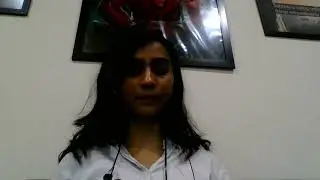 doctrine of ostensible owner by ananya